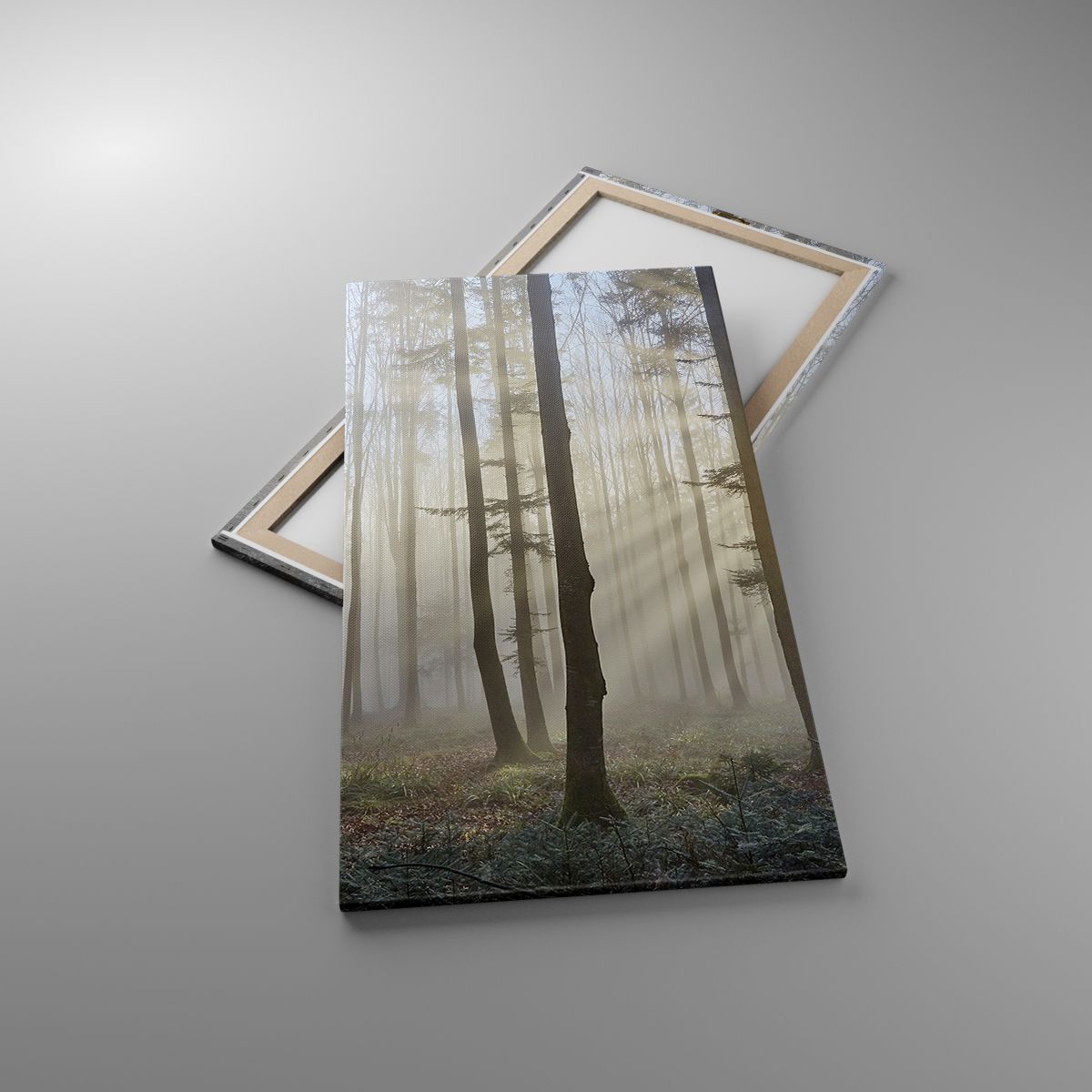Leinwandbild Landschaft, Leinwandbild Wald, Leinwandbild Nebel, Leinwandbild Bäume, Leinwandbild Natur