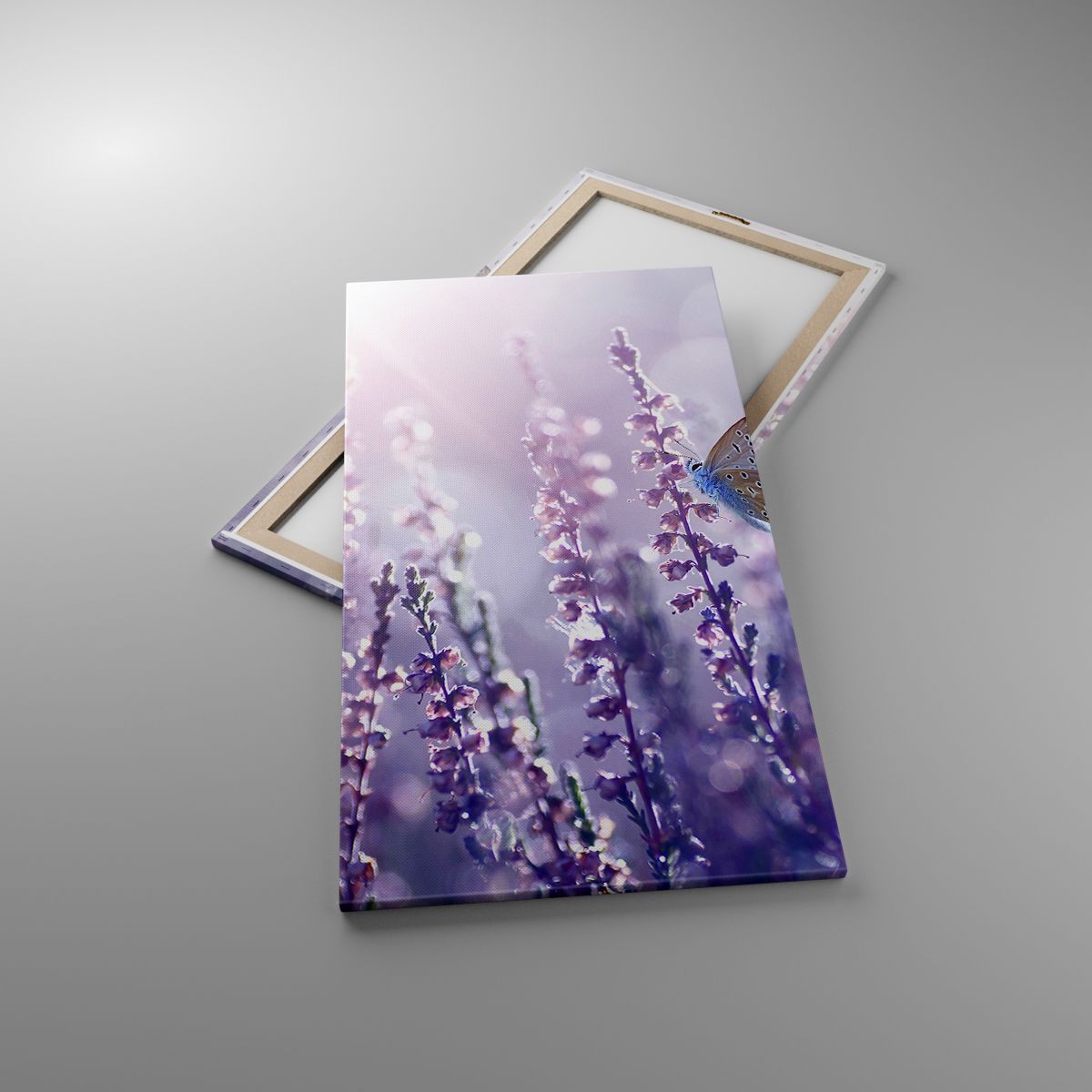 Leinwandbild Schmetterling, Leinwandbild Wiese, Leinwandbild Blume, Leinwandbild Natur, Leinwandbild Violette Farben