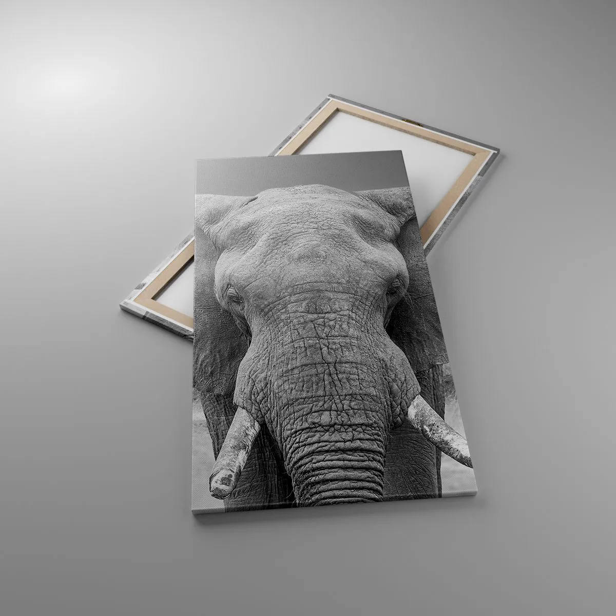 Impression sur toile - Image sur toile - Bienvenue dans mon monde - 65x120 cm