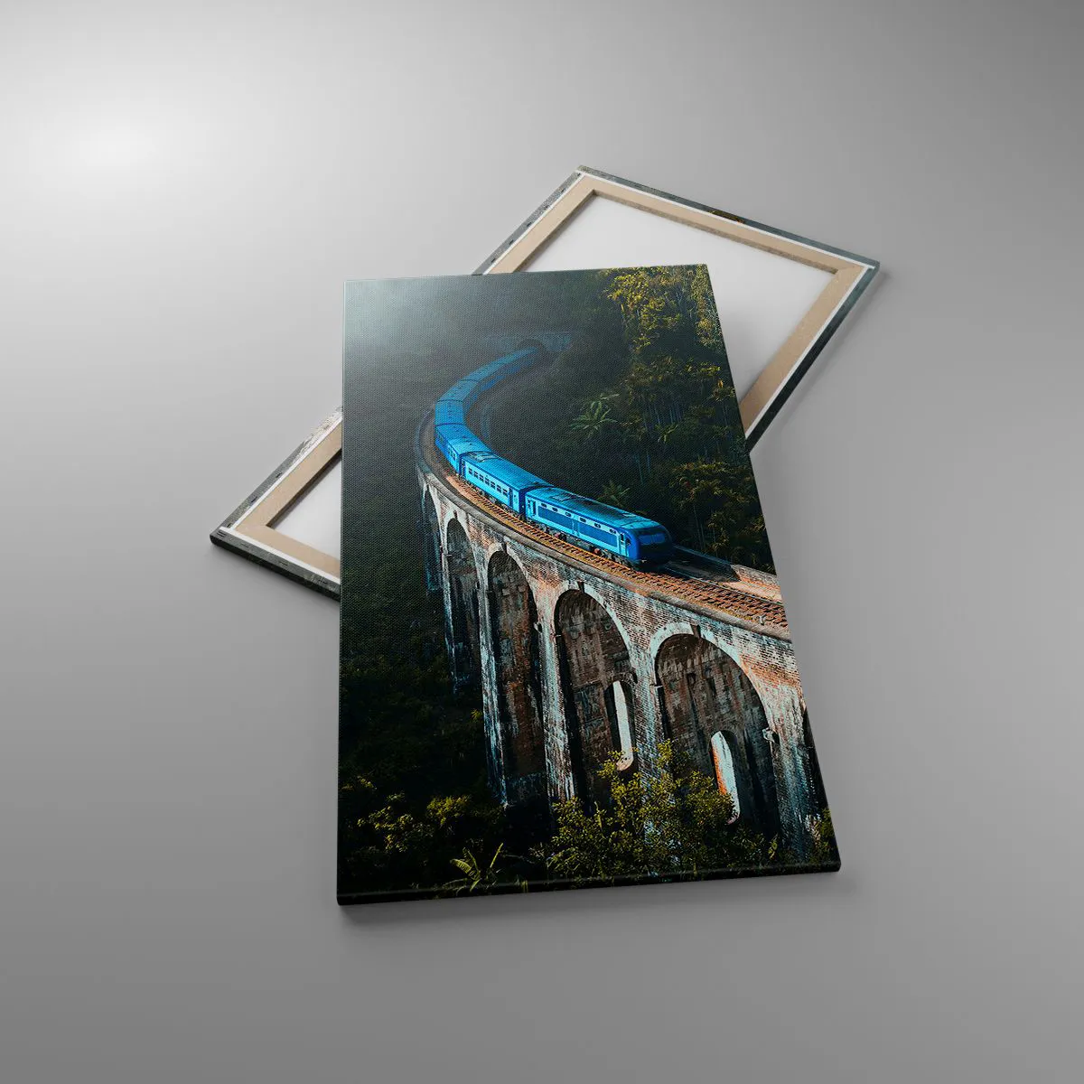 Impression sur toile - Image sur toile - Train nature - 65x120 cm