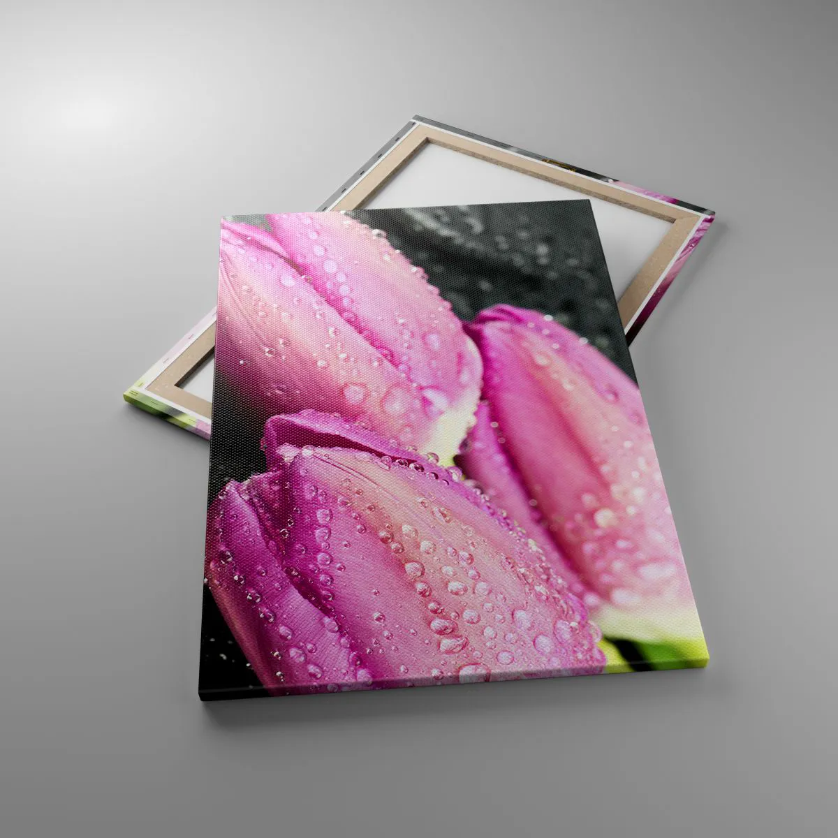 Bild auf Leinwand - Leinwandbild - Drei rosa Tulpen mit Wassertropfen auf schwarzem Hintergrund - 70x100cm - Liladrei auf schwarzem Stein - Moderne Wanddekoration für Wohnzimmer und Schlafzimmer ARTTOR