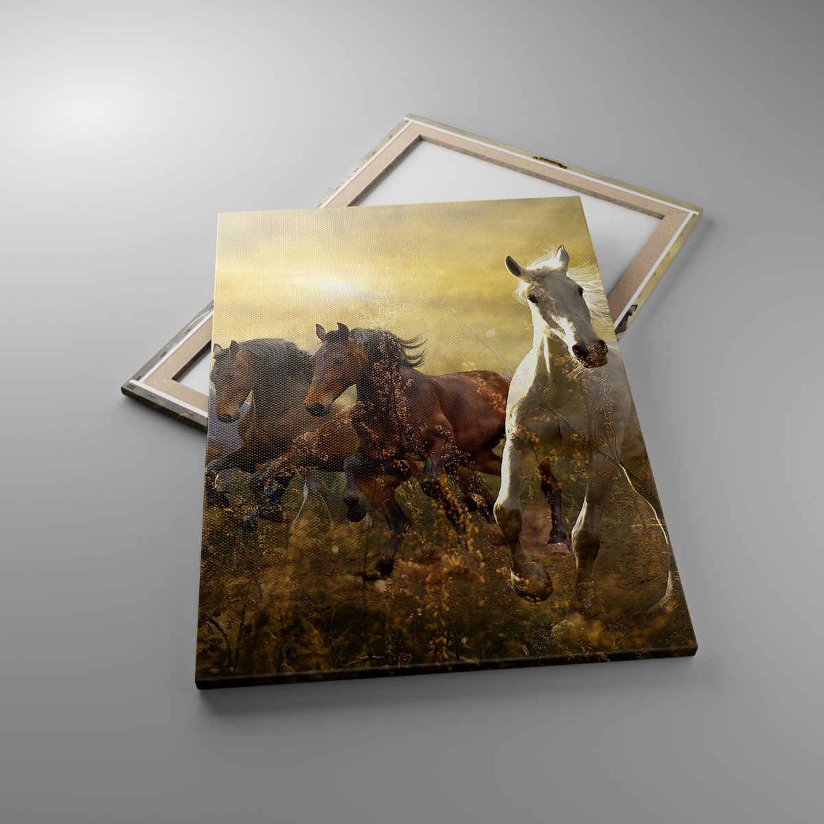 Leinwandbild Kunst-Druck 100x50 Bilder Tiere Pferde im Galopp 