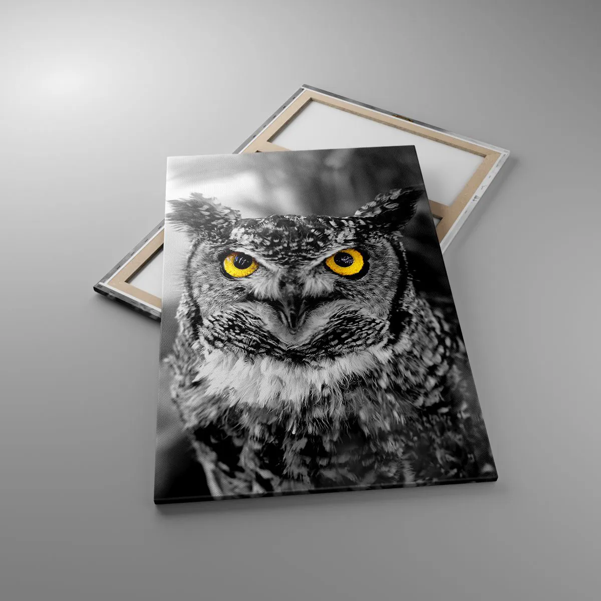 Impression sur toile - Image sur toile - Une photo en noir et blanc d'un hibou aux yeux jaunes - 80x120cm - Rien ne se cachera - Décoration murale moderne pour le salon et la chambre ARTTOR