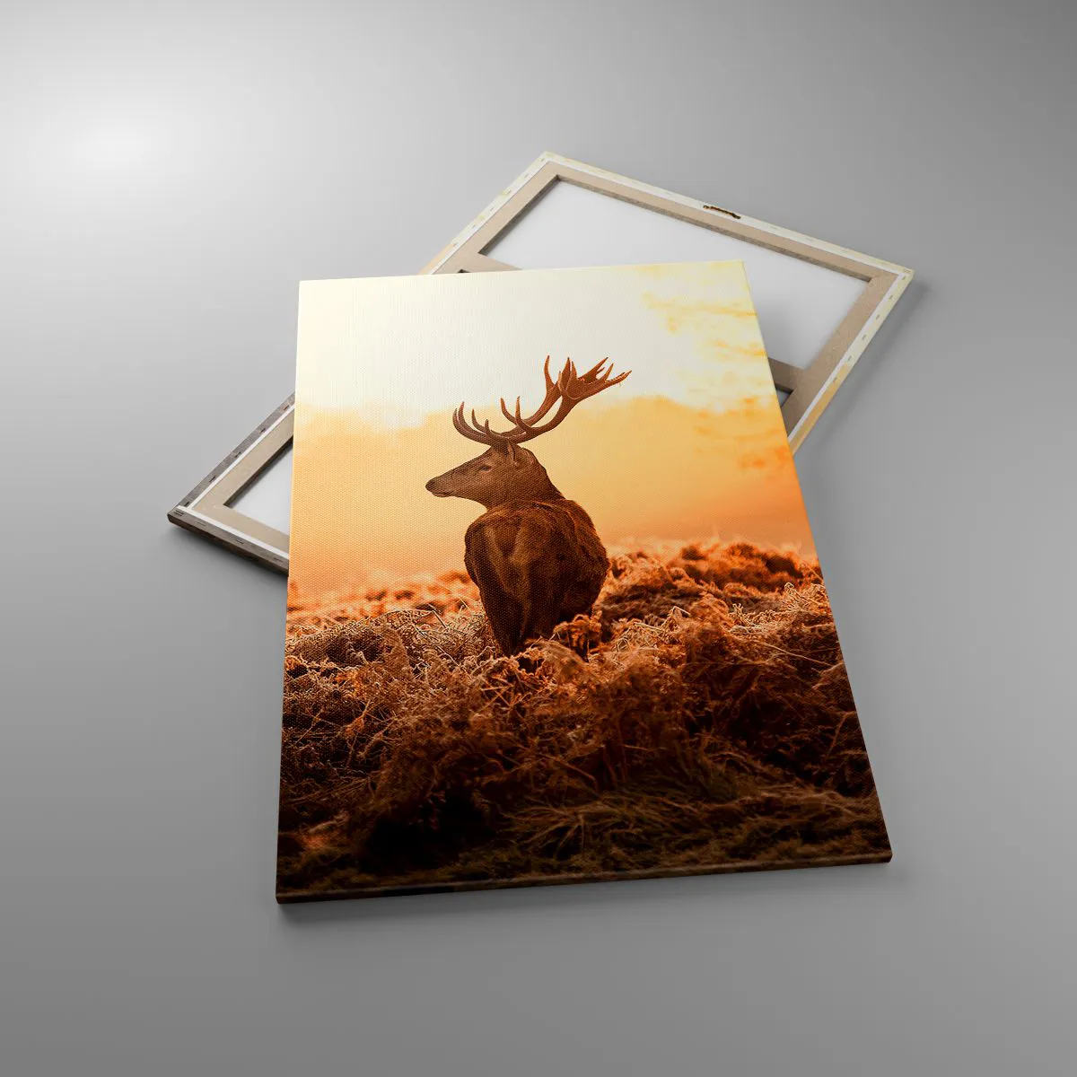 Obraz na plátně - Pán na panství - 80x120 cm