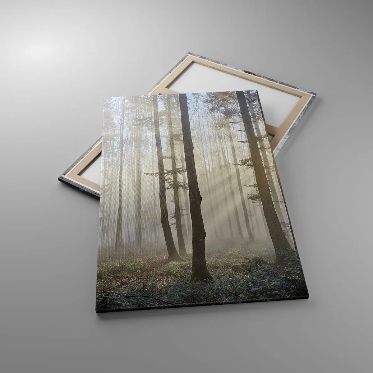 Obraz na plátně - Mlha se také vzbudila - 80x120 cm