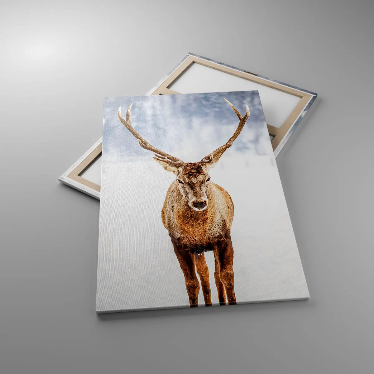 Quadro su tela - Stampe su Tela - Direttamente dalla nebbia di neve - 80x120 cm