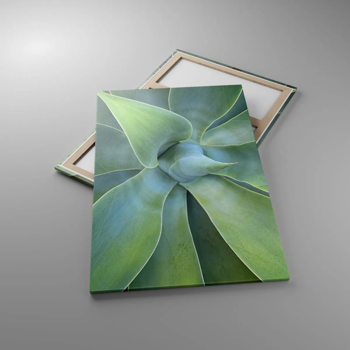 Obraz na płótnie - Subtelne liście agawy w odcieniach zieleni - 80x120cm - Narodziny zieleni - Nowoczesna dekoracja ścienna do salonu i sypialni ARTTOR