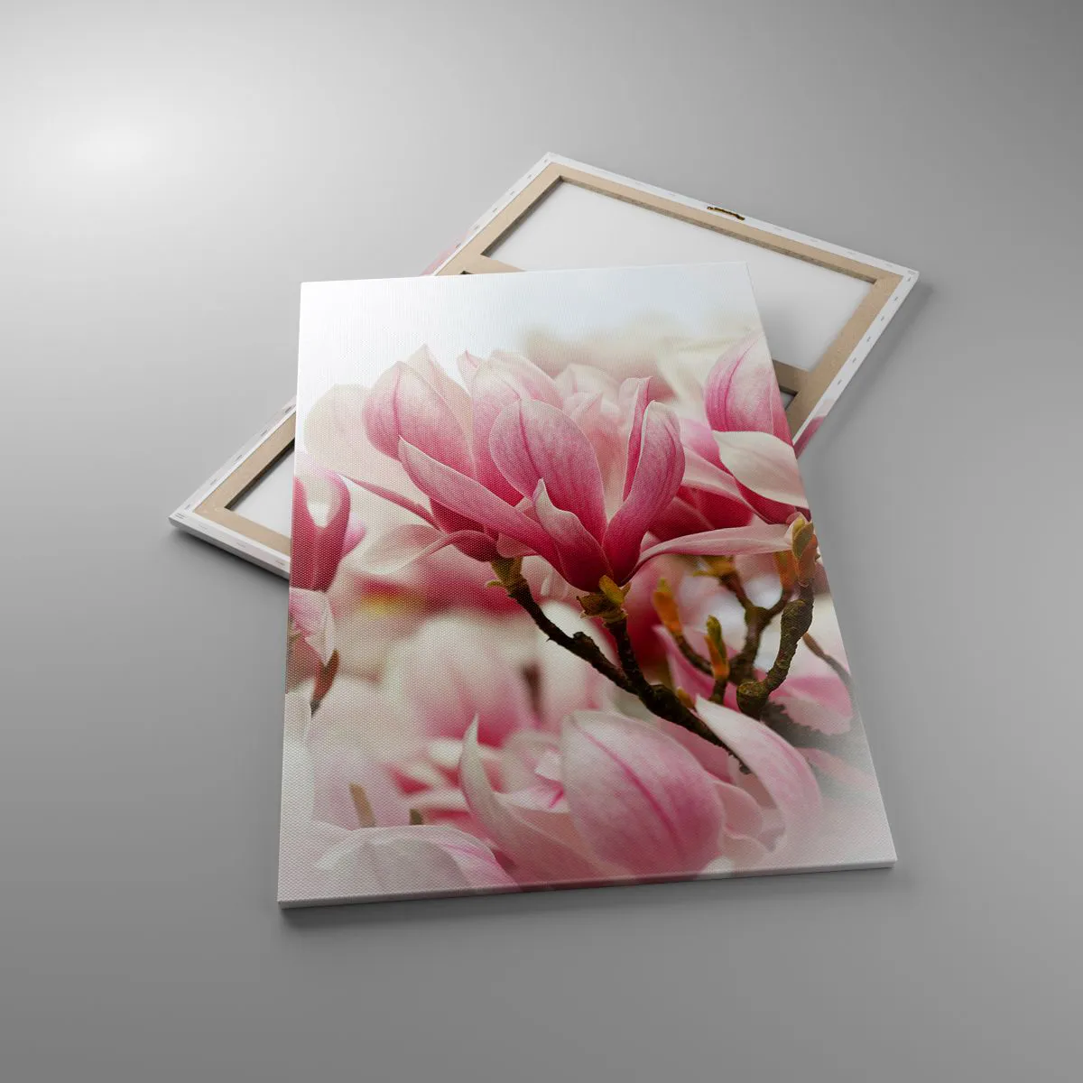 Obraz na płótnie - Delikatne różowe magnolie w pełnym rozkwicie na rozmytym tle - 80x120cm - Kwiaty wiosny - Nowoczesna dekoracja ścienna do salonu i sypialni ARTTOR