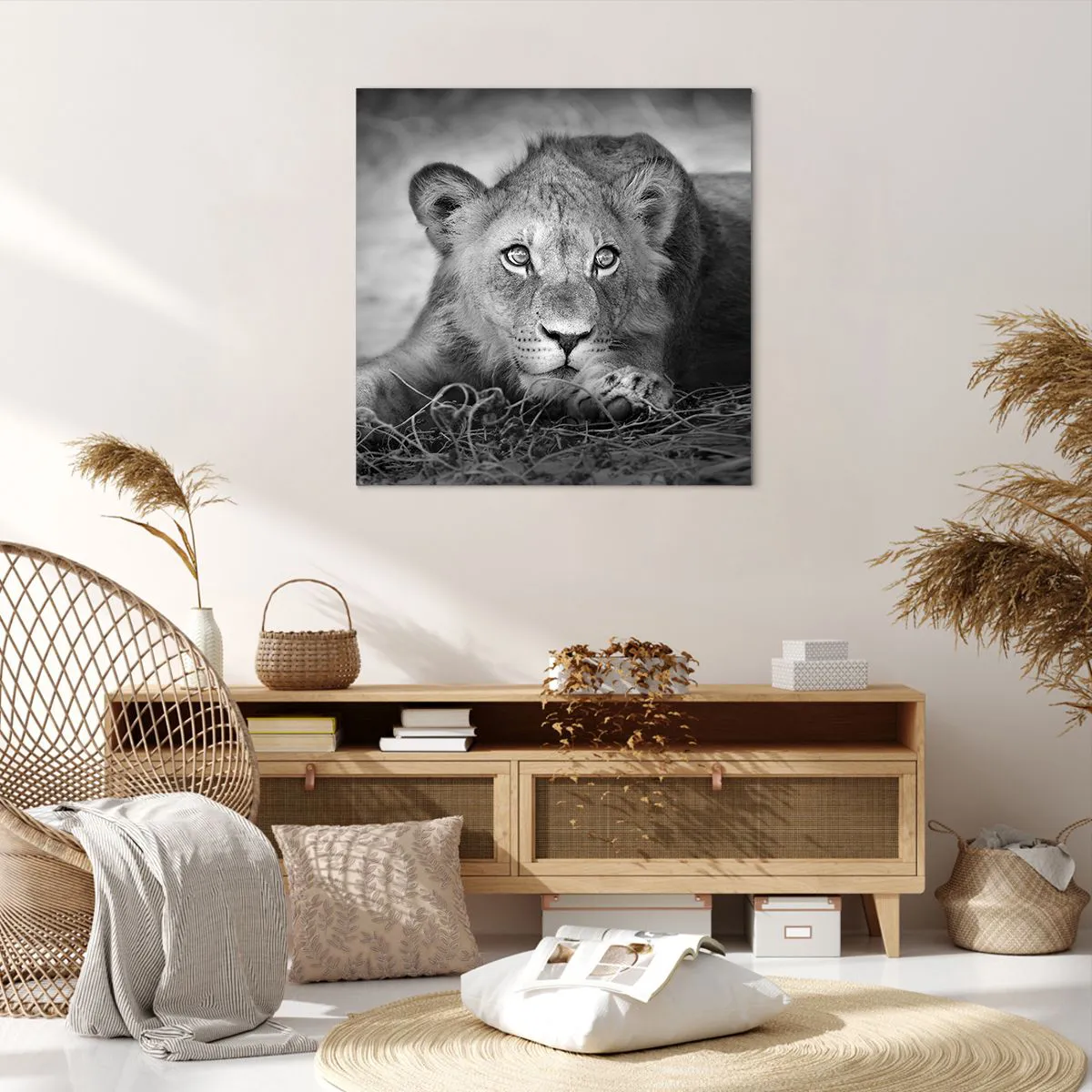 Impression sur toile - Image sur toile - Chiot royal - 70x70 cm