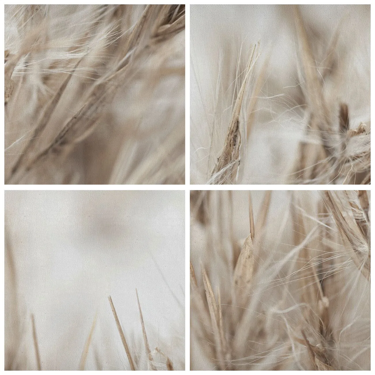 Canvastavla - Bild på duk - Äng och vind - 50x70 cm