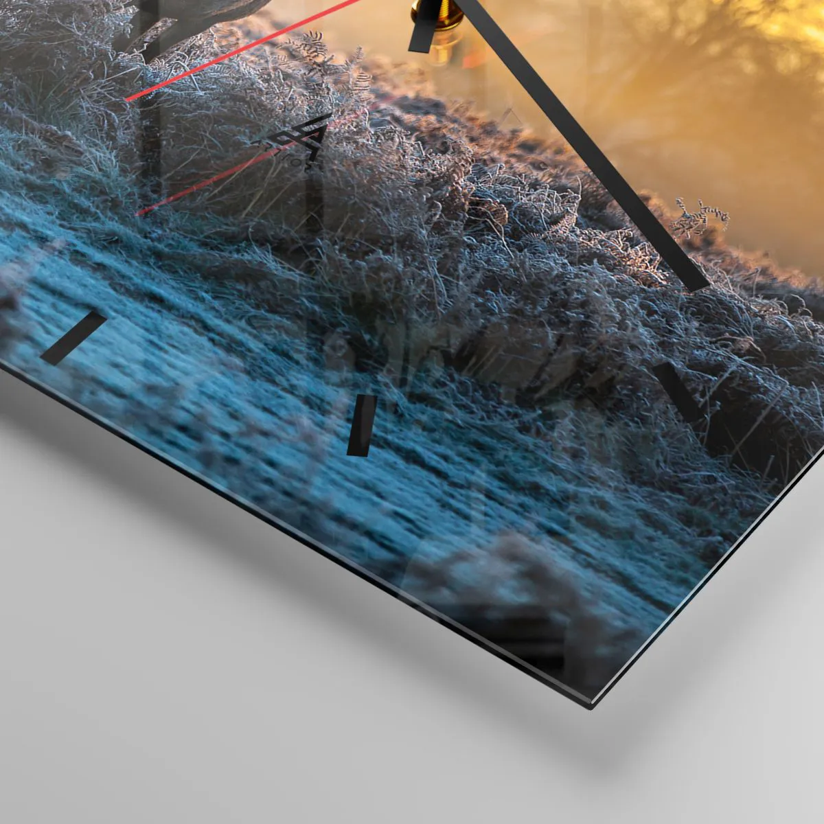 Ceas de perete - Ceas pe sticlă - Încoronat pe domeniul său - 40x40 cm