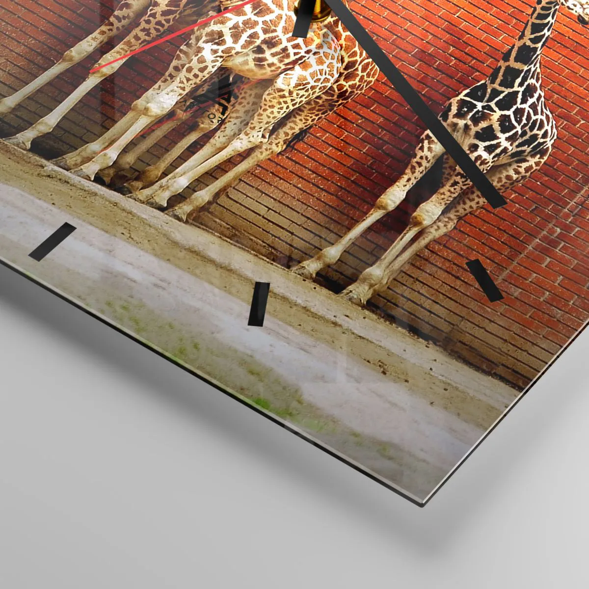 Ceas de perete - Ceas pe sticlă - Vezi vreun salcâm? - 40x40 cm