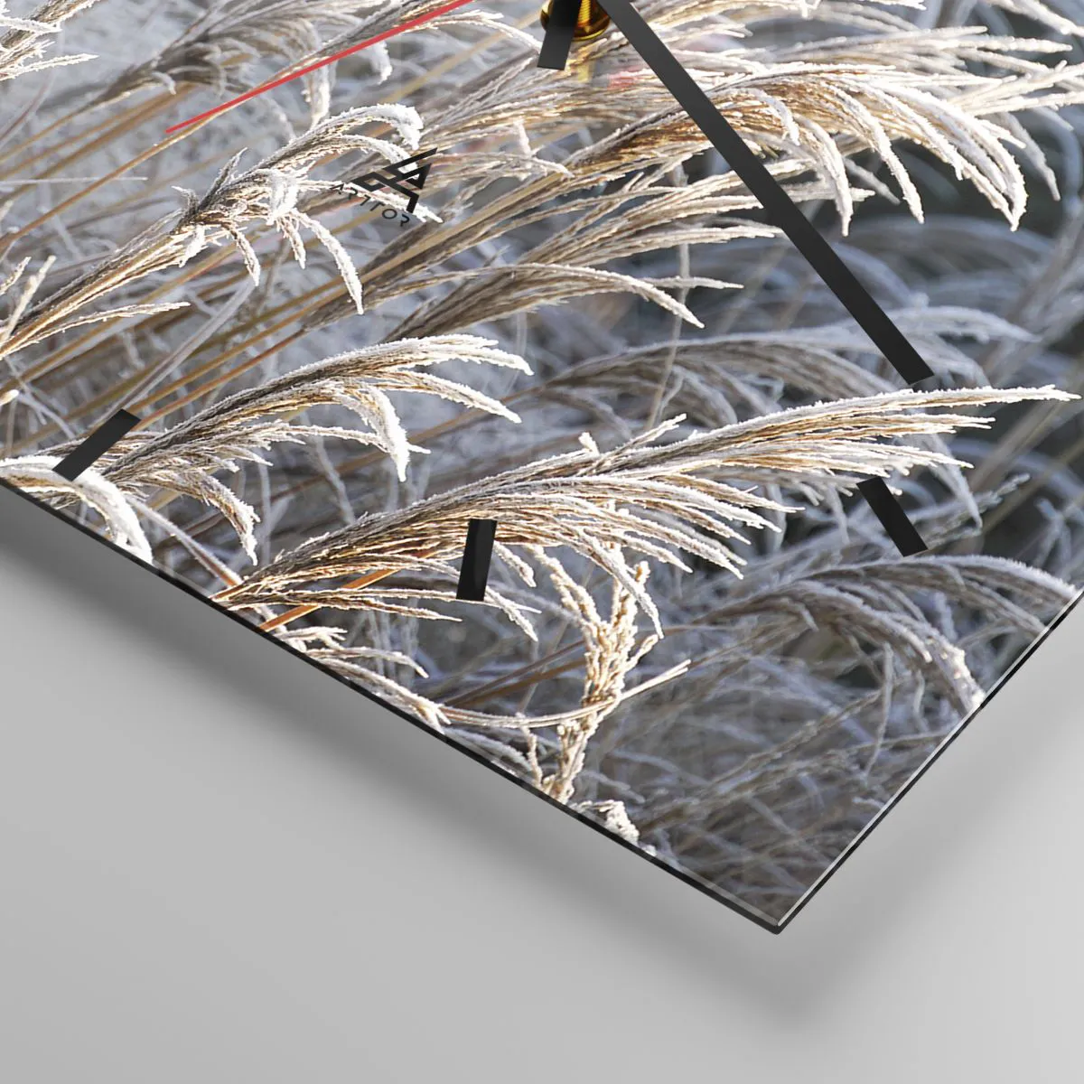 Orologio da parete - Orologio in Vetro - Fili d'erba invernali ricoperti di brina su uno sfondo verde scuro - 30x30cm - Vestite di brina - Decorazione murale moderna per soggiorno e camera da letto ARTTOR