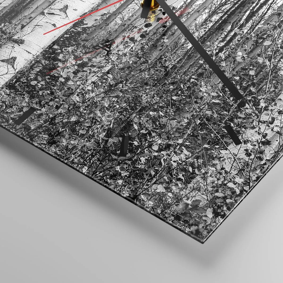 Reloj de pared - Reloj de vidrio - Columnas de abedules - 40x40 cm