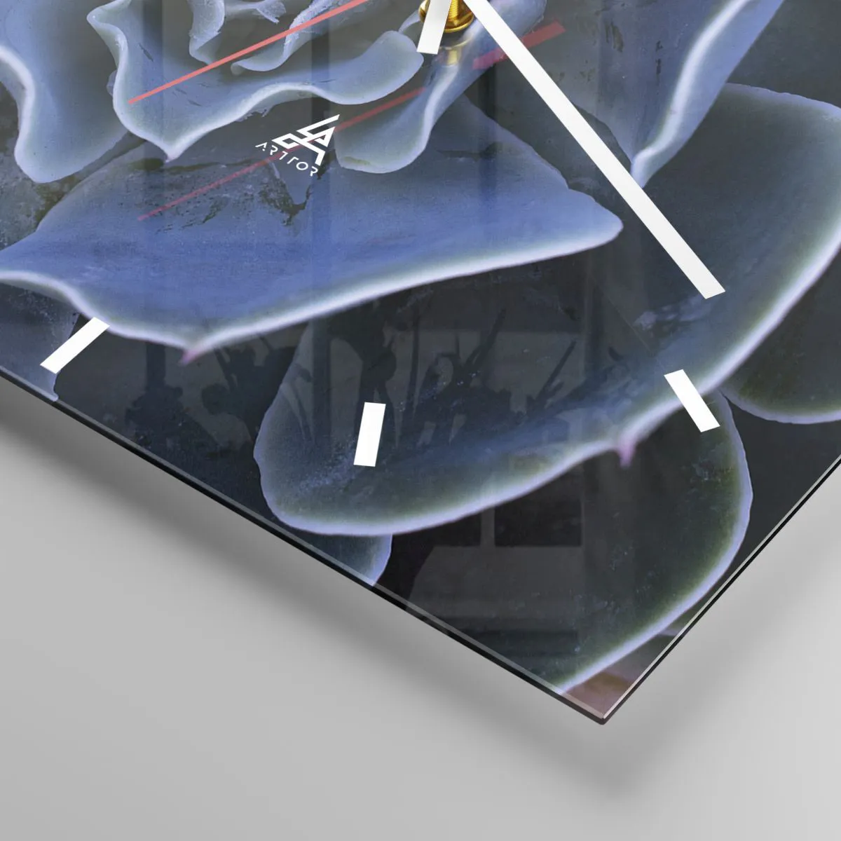 Ceas de perete - Ceas pe sticlă - Floare de deșert - 40x40 cm