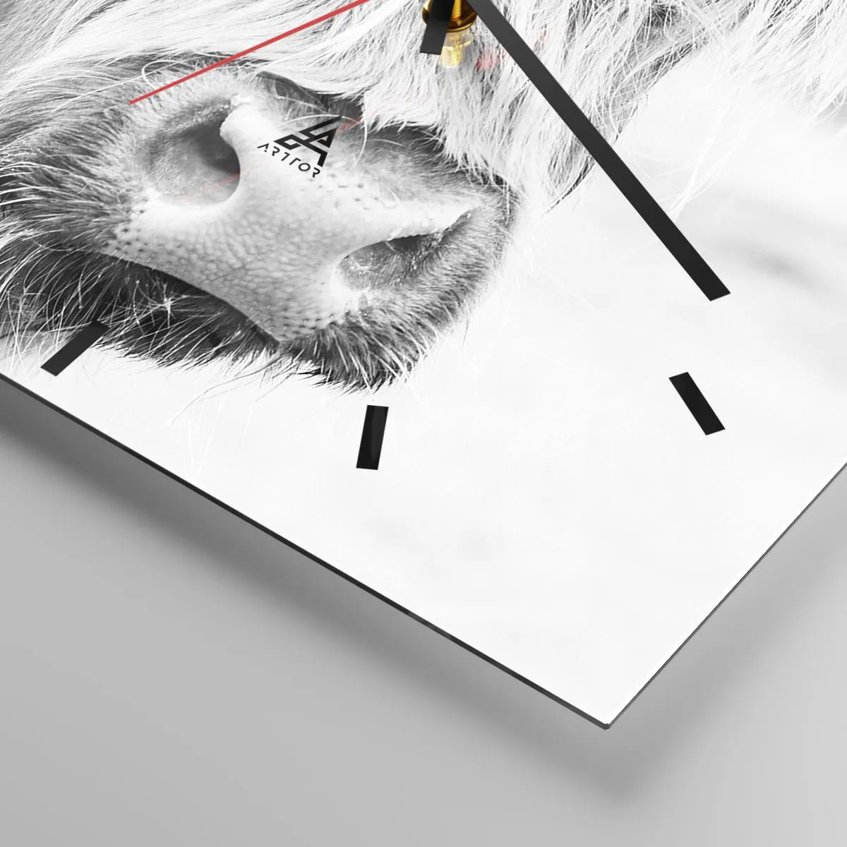 Zegar ścienny - Portret szkockiej krowy w czerni i bieli - 30x30cm - Szkocka dzikość - Nowoczesna dekoracja ścienna do salonu i sypialni ARTTOR