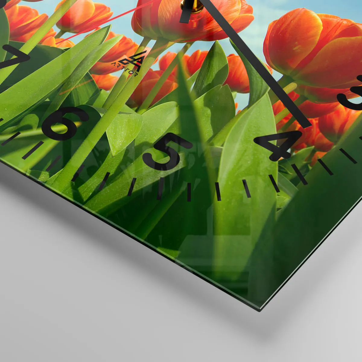 Orologio da parete - Orologio in Vetro - A loro non serve nulla oltre al cielo azzurro - 40x40 cm