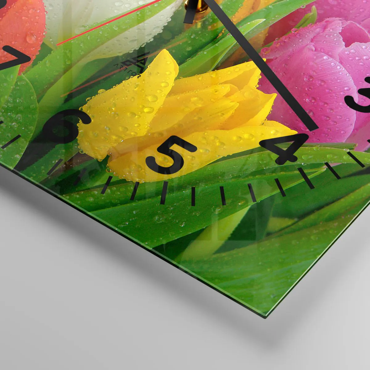 Wanduhr - Glasuhr - Ein blumiger Regenbogen in Tautropfen - 30x30 cm