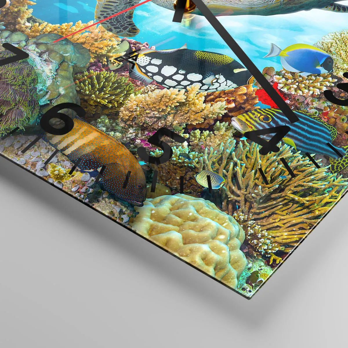 Ceas de perete - Ceas pe sticlă - Promenada de corali - 30x30 cm