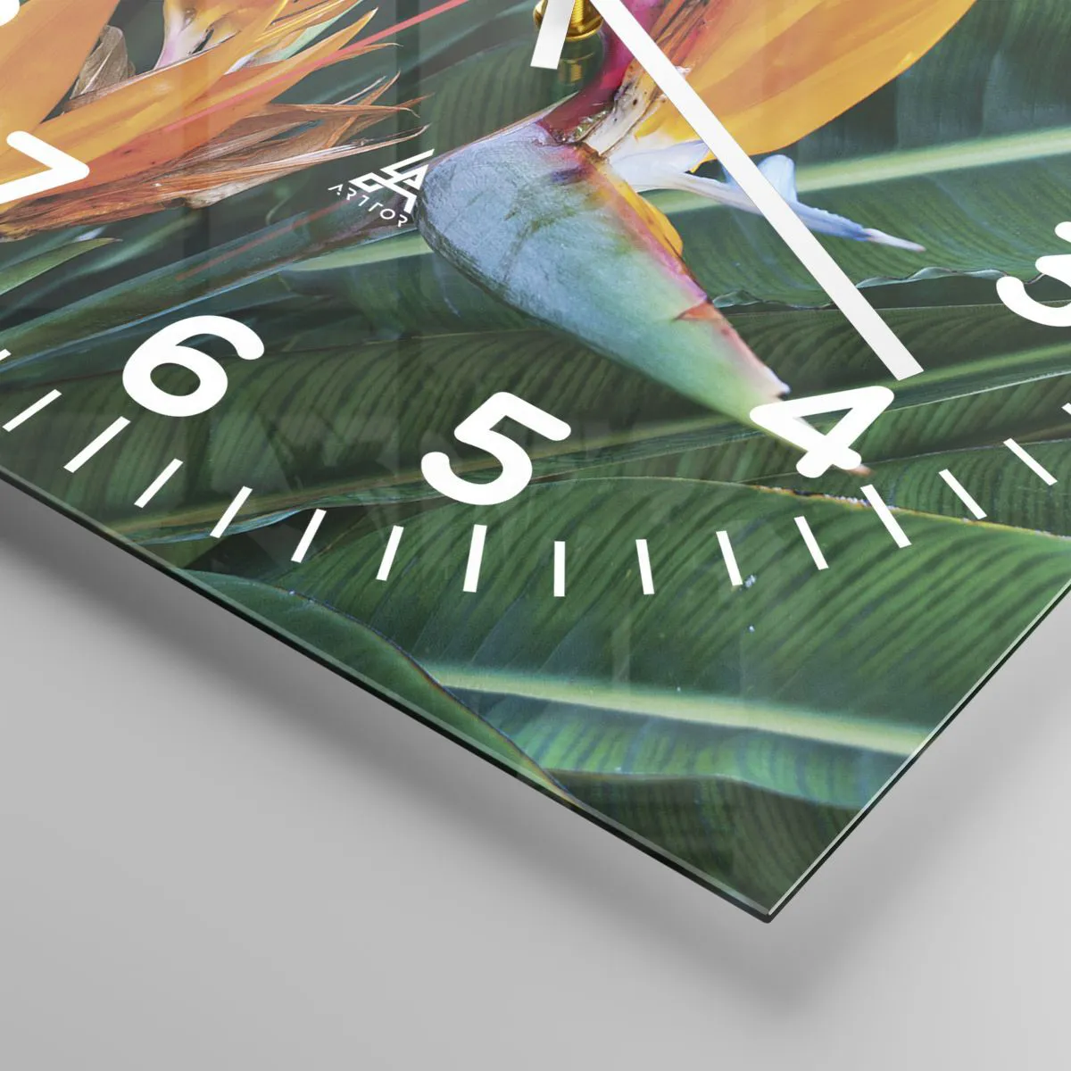 Väggklocka - Klocka på glas - Är det en blomma, eller en fågel? - 40x40 cm