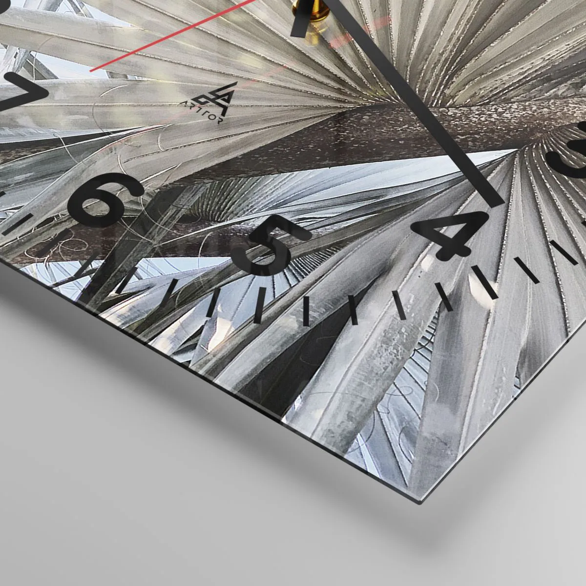 Wall clock - Clock on glass - Fans in tropics - 40x40 cm