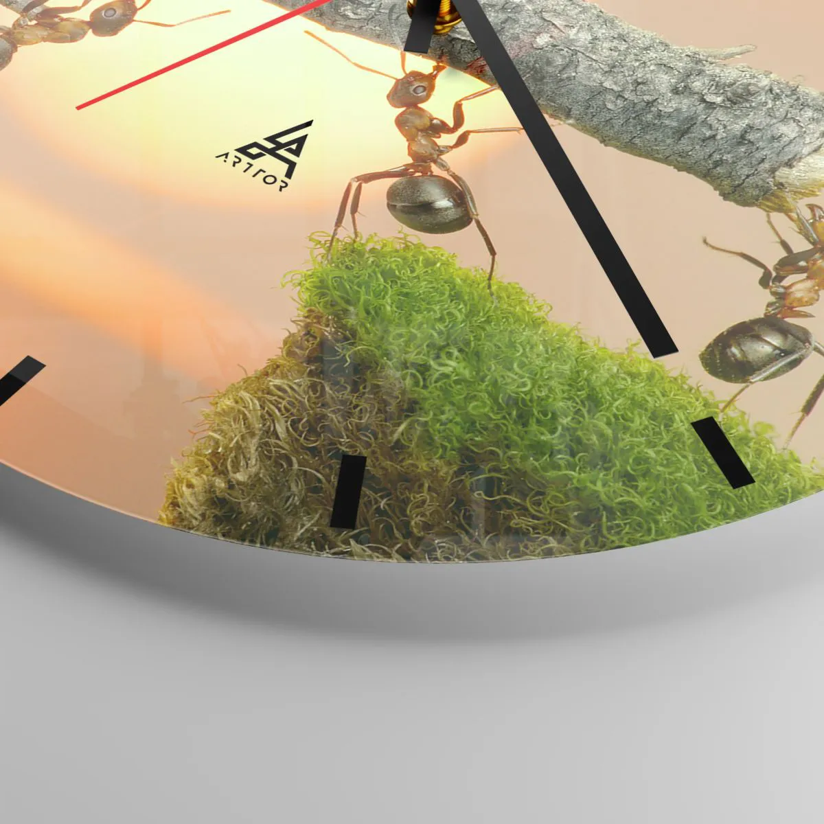 Väggklocka - Klocka på glas - Myror på en gren i ljuset av den nedgående solen - 30x30cm - Glatt, gemensamt arbete - Modern väggdekoration för vardagsrum, kök och sovrum ARTTOR