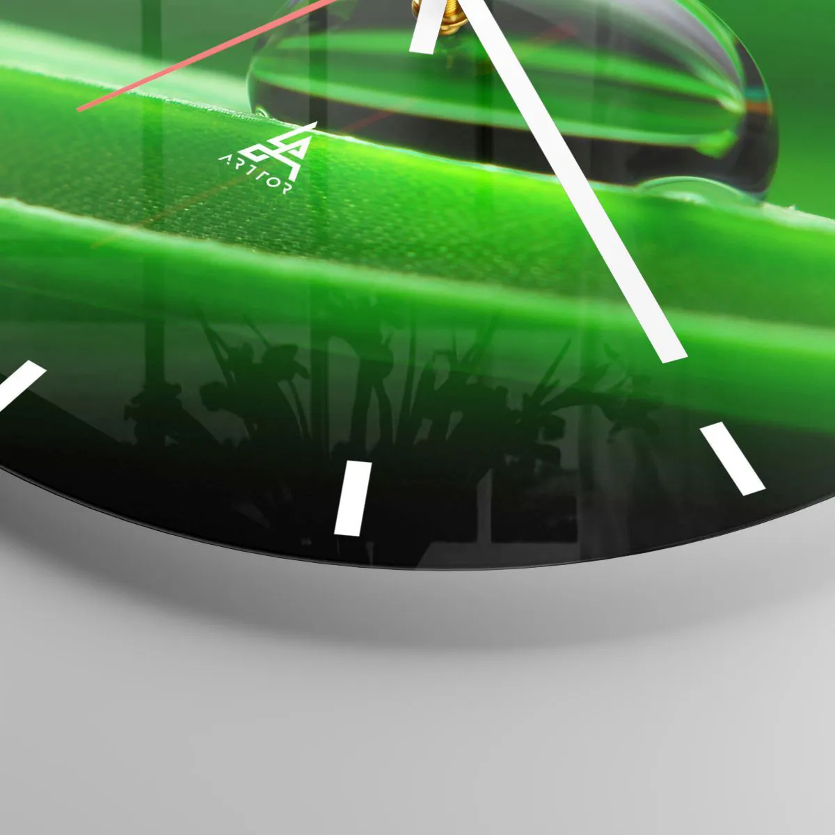 Nástěnné hodiny - Život z blízka - 40x40 cm