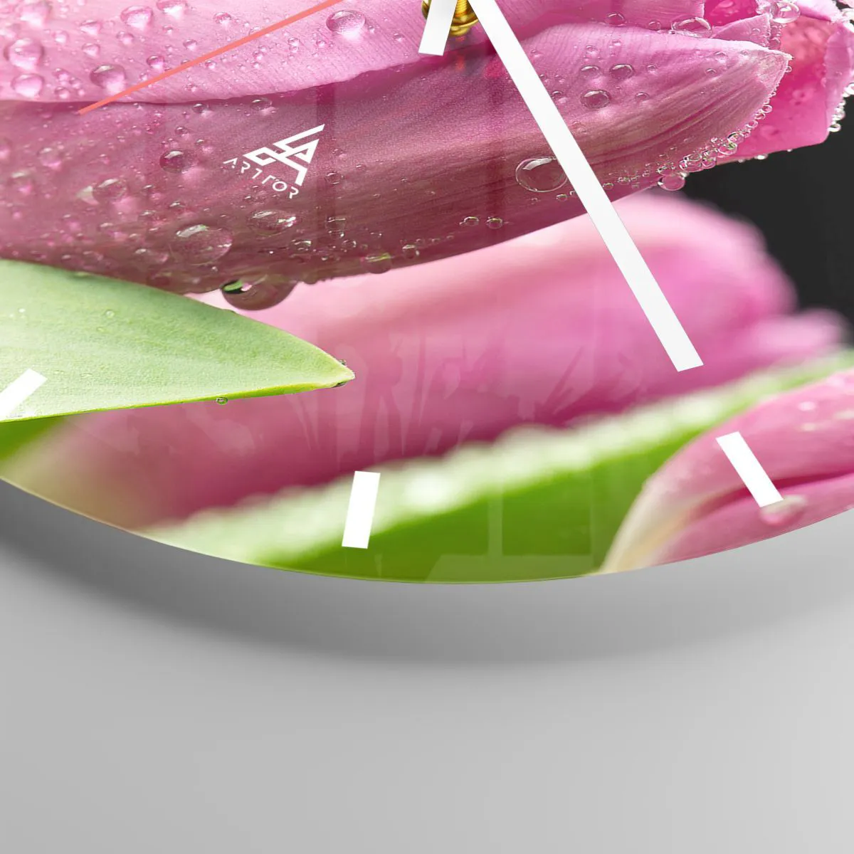 Nástenné hodiny - Ružový tulipán pokrytý kvapkami rosy na tmavom pozadí. - 30x30cm - Ľaliový sen v rose - Moderná nástenná dekorácia do obývacej izby, kuchyne a spálne ARTTOR