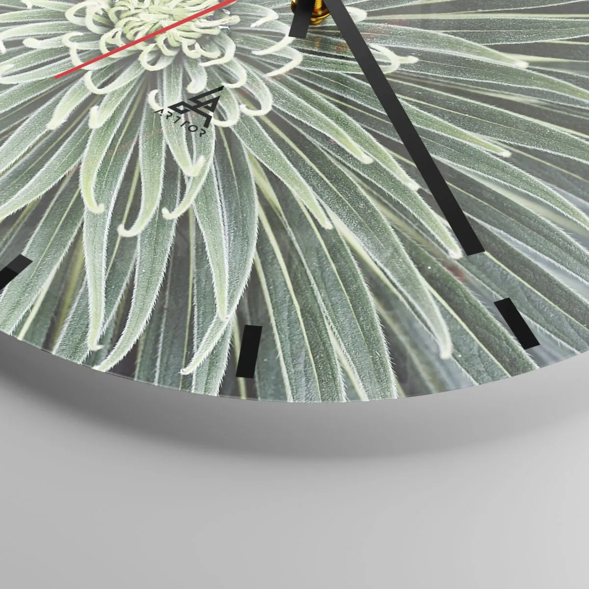Wanduhr - Glasuhr - Eine Nahaufnahme einer symmetrischen Pflanze mit radial angeordneten Blättern. - 30x30cm - Ein Star ist geboren - Moderne Wanddekoration für Wohnzimmer, Küche und Schlafzimmer ARTTOR