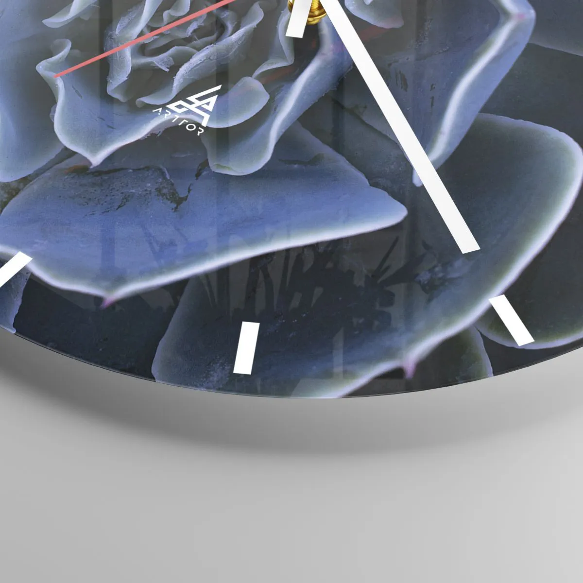 Wall clock - Clock on glass - Close-up of a succulent with navy blue leaves - 30x30cm - Flower of the Desert - Modern wall decoration for the living room, kitchen, and bedroom ARTTOR