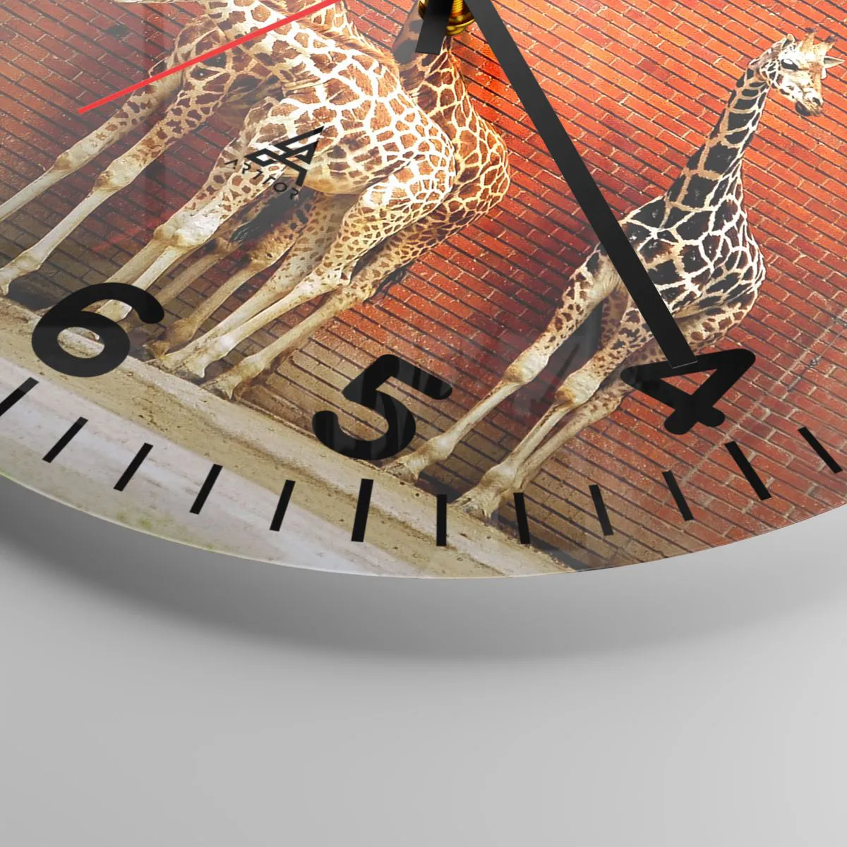 Wanduhr - Glasuhr - Sehen Sie Akazien? - 40x40 cm