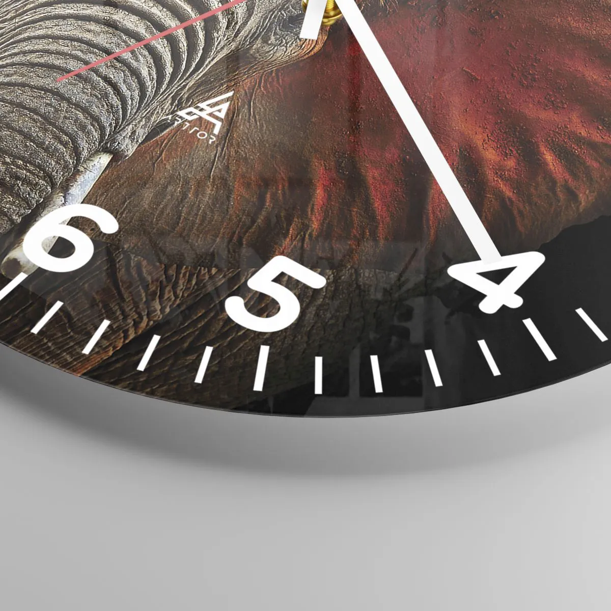 Reloj de pared - Reloj de vidrio - Soy salvaje, ¿y tú? - 30x30 cm