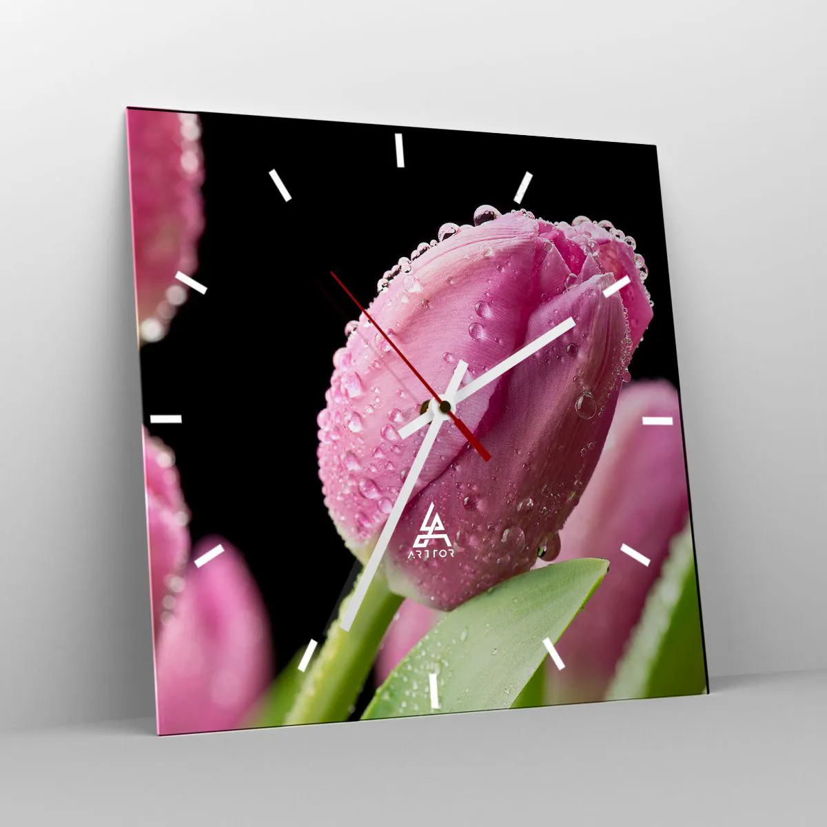 Wanduhr - Glasuhr - Rosa Tulpe mit Wassertropfen auf schwarzem Hintergrund - 30x30cm - Lila Traum im Tau - Moderne Wanddekoration für Wohnzimmer und Schlafzimmer ARTTOR