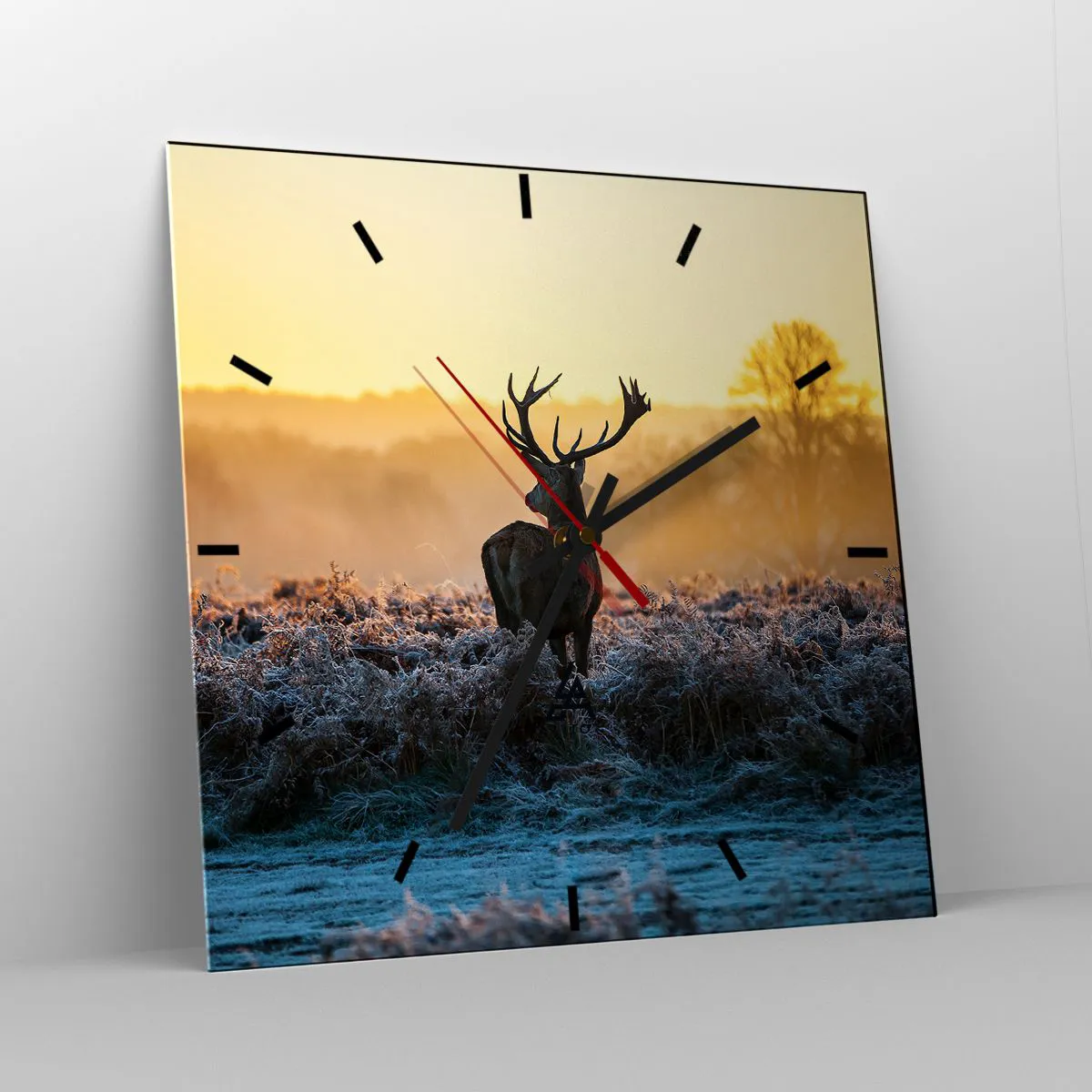 Ceas de perete - Ceas pe sticlă - Încoronat pe domeniul său - 40x40 cm