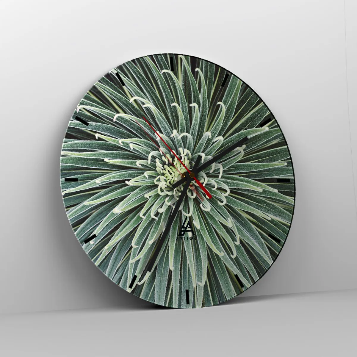 Wanduhr - Glasuhr - Eine Nahaufnahme einer symmetrischen Pflanze mit radial angeordneten Blättern. - 30x30cm - Ein Star ist geboren - Moderne Wanddekoration für Wohnzimmer, Küche und Schlafzimmer ARTTOR