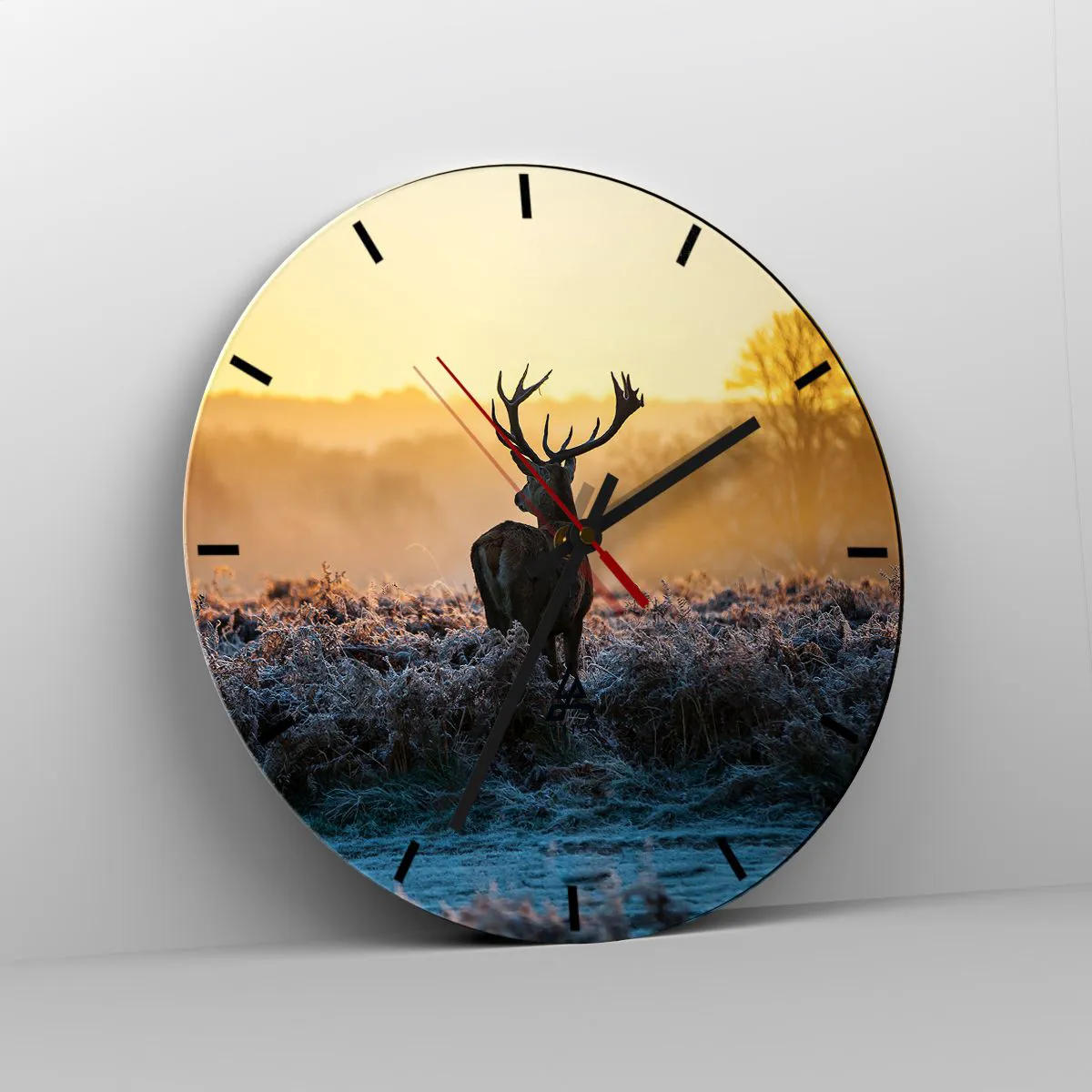 Falióra, Óra - Megkoronázott a birtokán - 40x40 cm