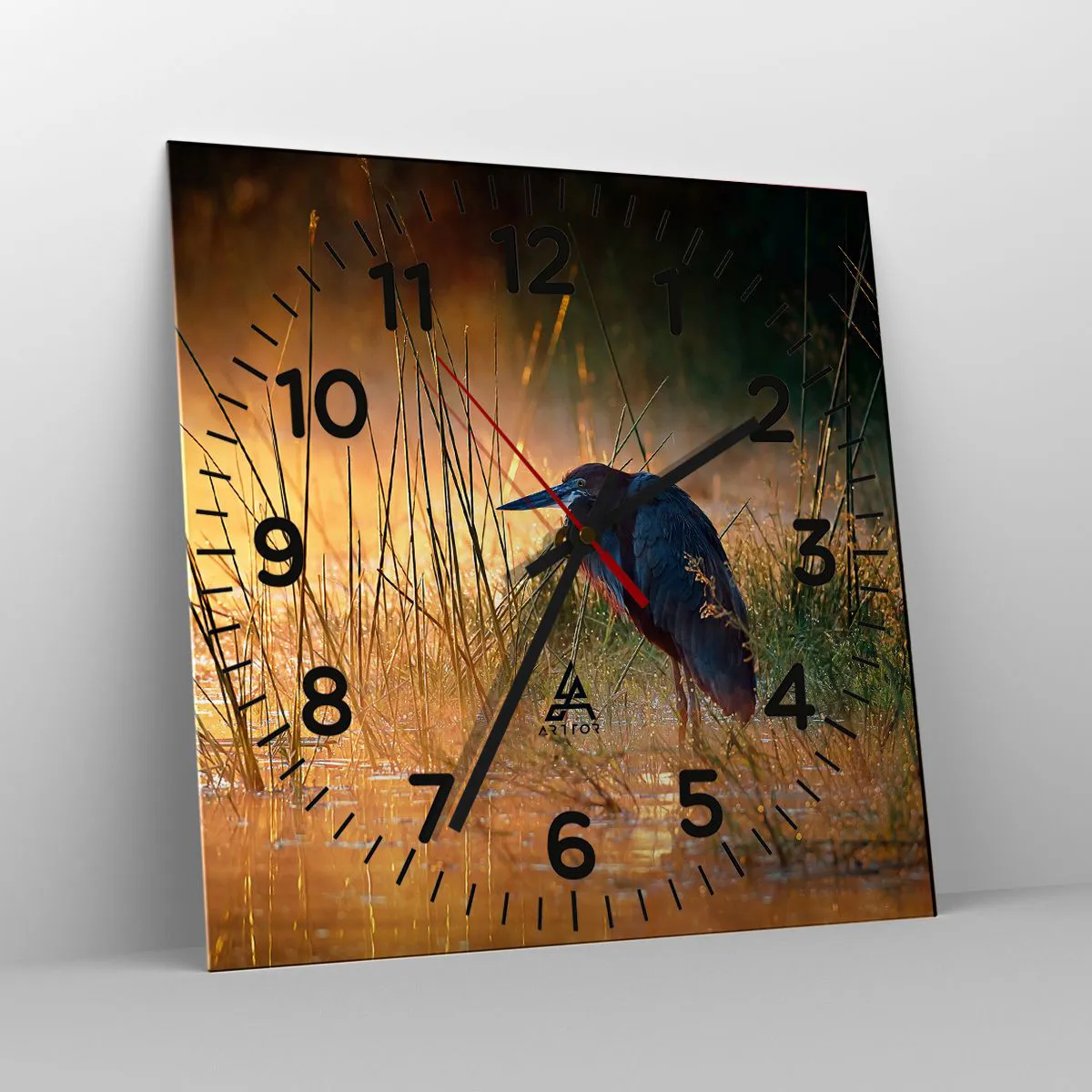 Wanduhr - Glasuhr - Komm, gib mir eine Pause mit diesen Fotos - 30x30 cm