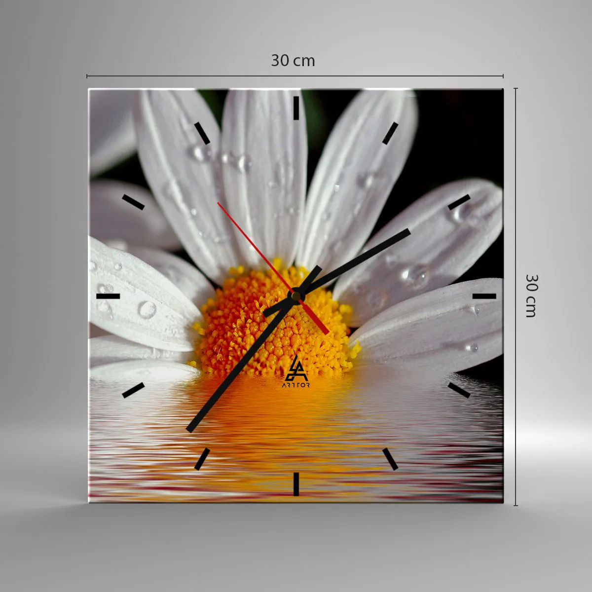 Väggklocka - Klocka på glas - Prästkrages uppstigande sol - 30x30 cm