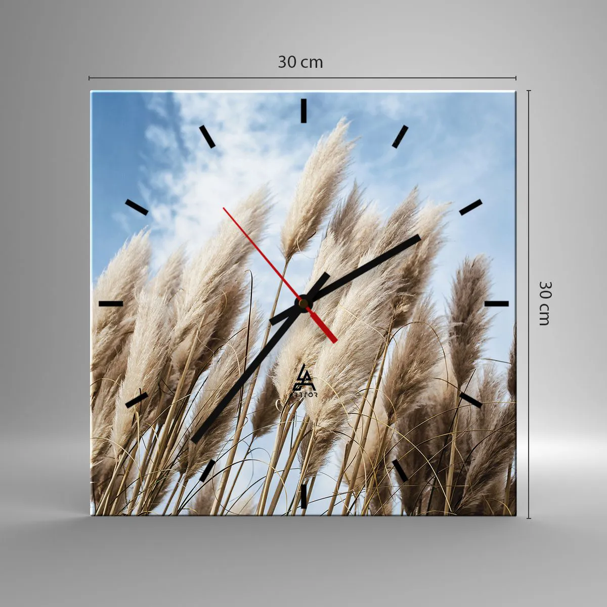 Reloj de pared - Reloj de vidrio - Delicadas hierbas de la pampa contra un cielo azul con nubes ligeras - 30x30cm - Una caricia soleada y ventosa - Decoración de pared moderna para salón y dormitorio ARTTOR