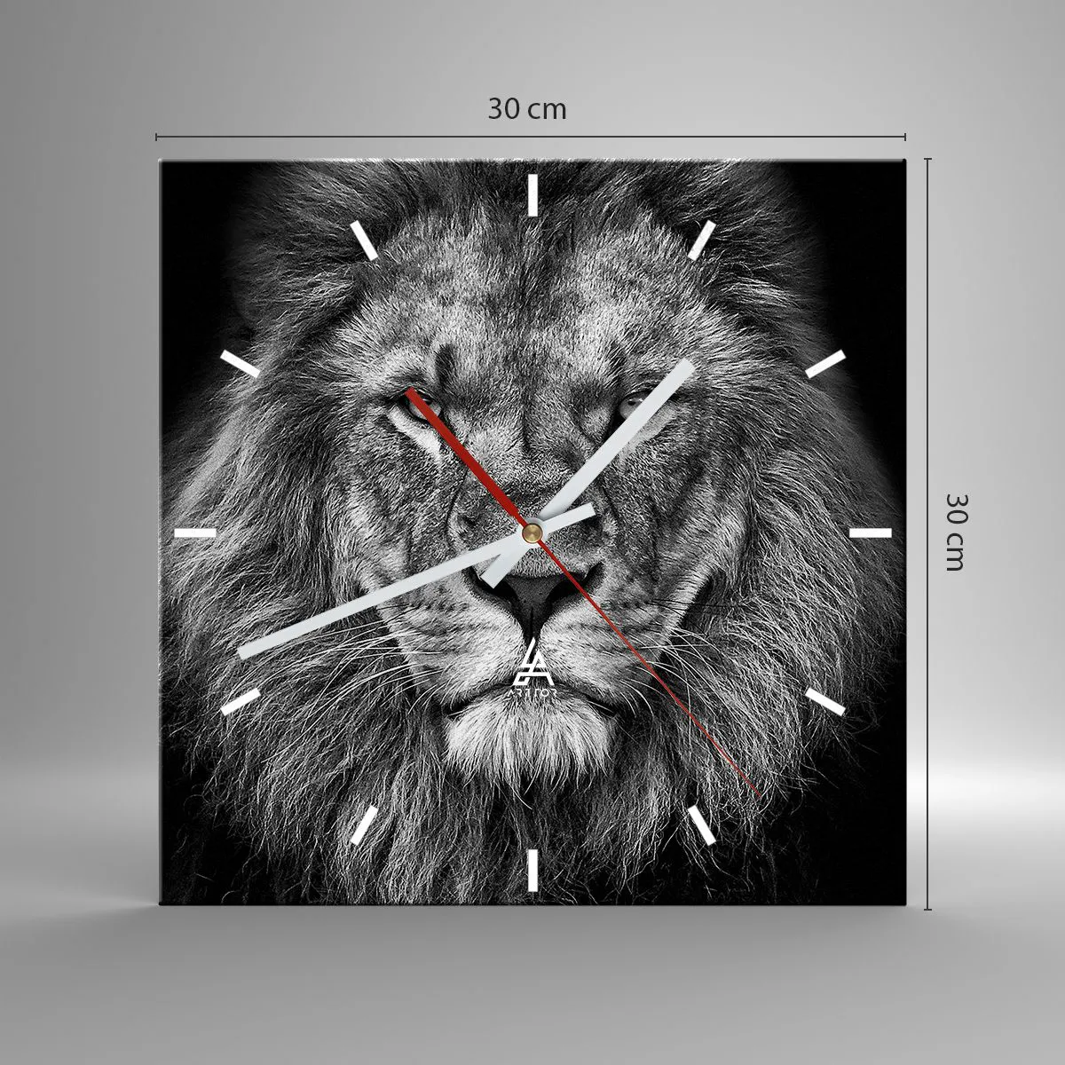 Nástěnné hodiny - V korunovačním oděvu - 30x30 cm