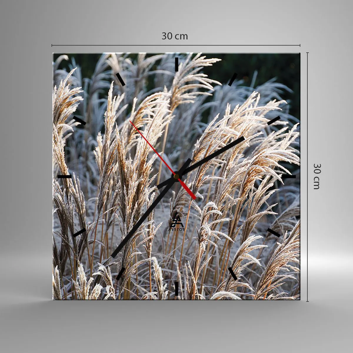 Orologio da parete - Orologio in Vetro - Fili d'erba invernali ricoperti di brina su uno sfondo verde scuro - 30x30cm - Vestite di brina - Decorazione murale moderna per soggiorno e camera da letto ARTTOR