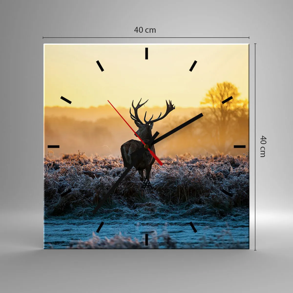 Ceas de perete - Ceas pe sticlă - Încoronat pe domeniul său - 40x40 cm