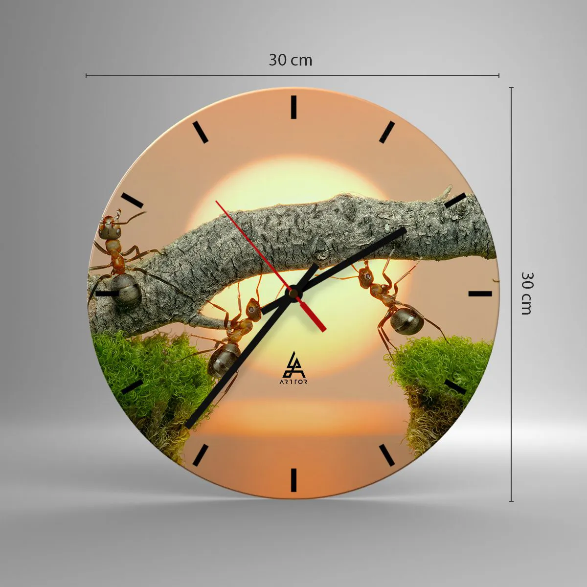 Väggklocka - Klocka på glas - Myror på en gren i ljuset av den nedgående solen - 30x30cm - Glatt, gemensamt arbete - Modern väggdekoration för vardagsrum, kök och sovrum ARTTOR