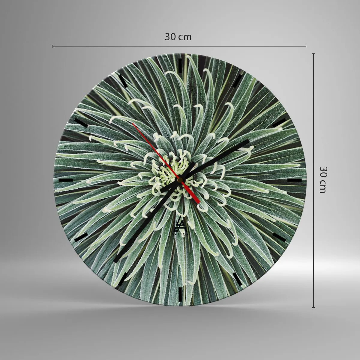 Wanduhr - Glasuhr - Eine Nahaufnahme einer symmetrischen Pflanze mit radial angeordneten Blättern. - 30x30cm - Ein Star ist geboren - Moderne Wanddekoration für Wohnzimmer, Küche und Schlafzimmer ARTTOR