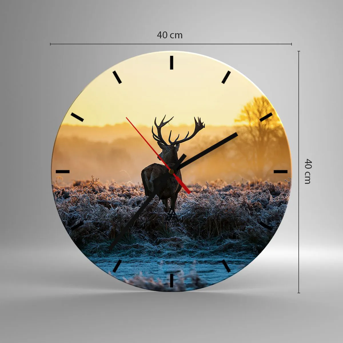 Falióra, Óra - Megkoronázott a birtokán - 40x40 cm