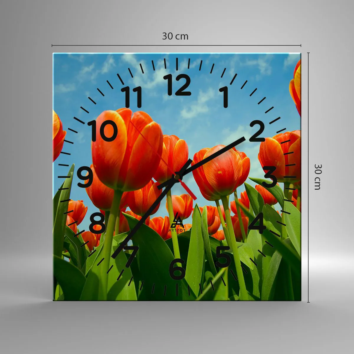 Orologio da parete - Orologio in Vetro - A loro non serve nulla oltre al cielo azzurro - 30x30 cm