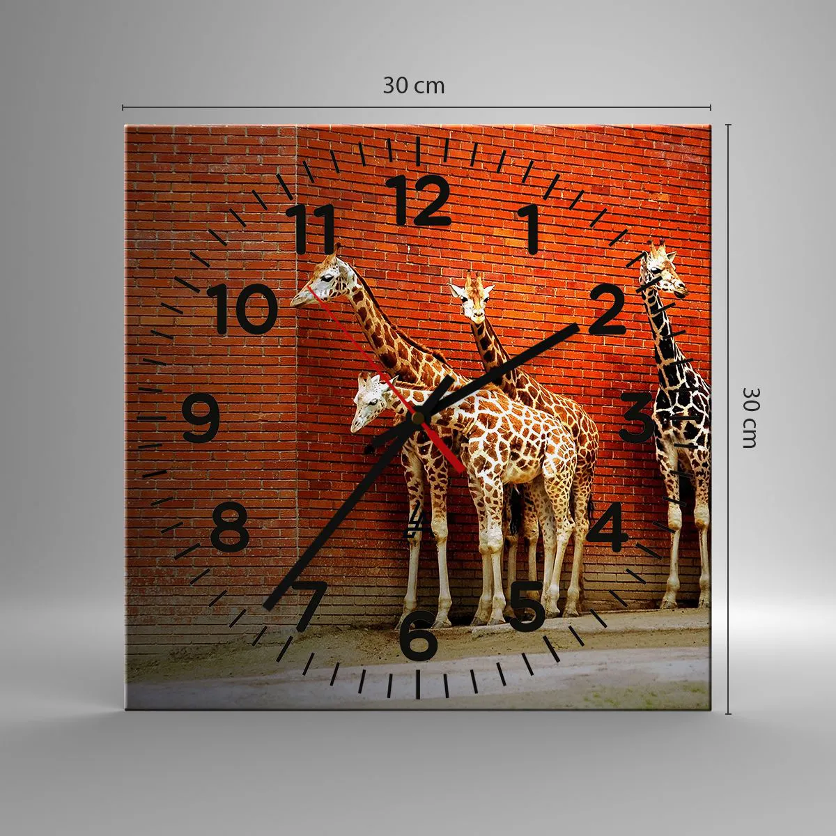 Wall clock - Clock on glass - Can You See an Acacia? - 30x30 cm