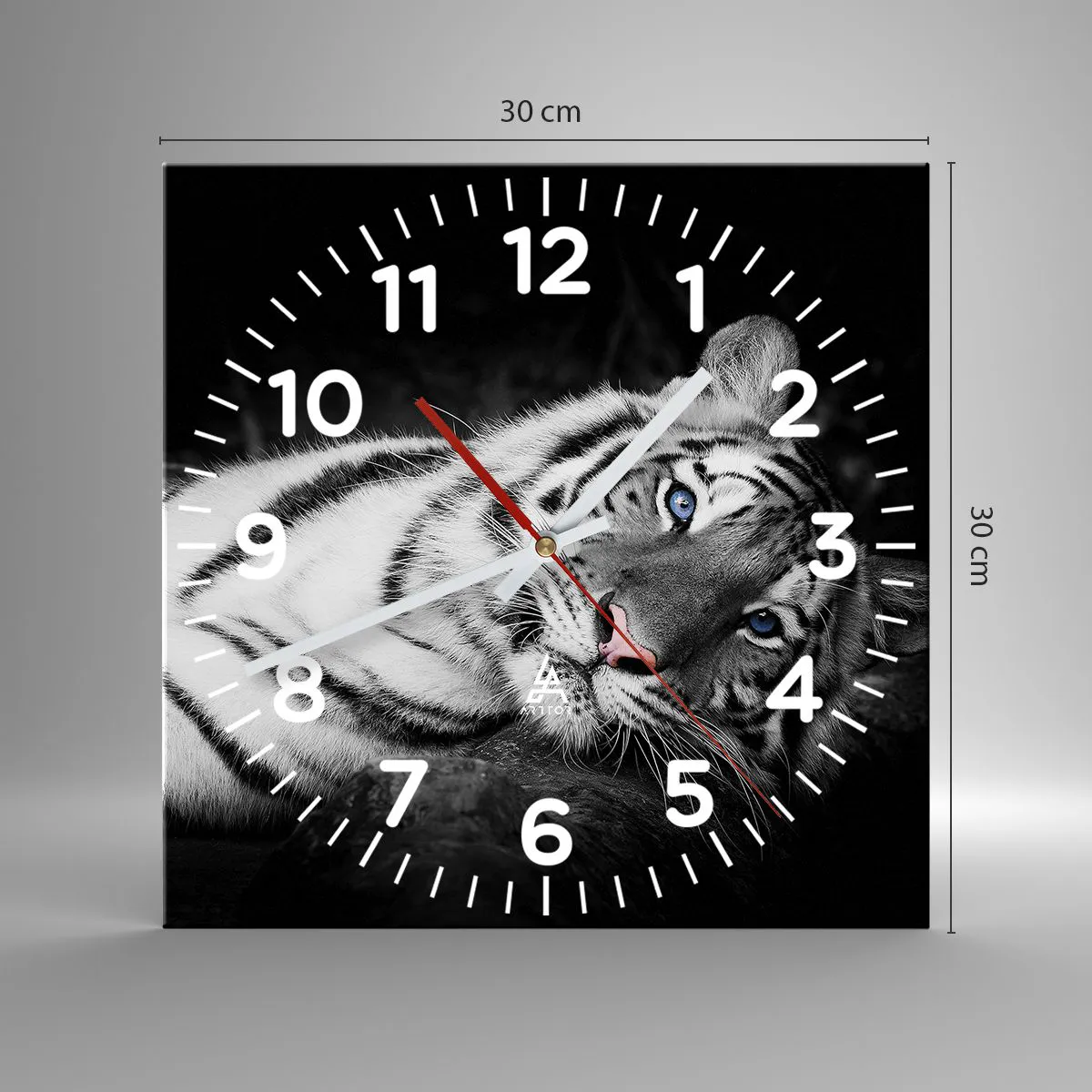 Zegar ścienny - Dzikość i spokój - 30x30 cm