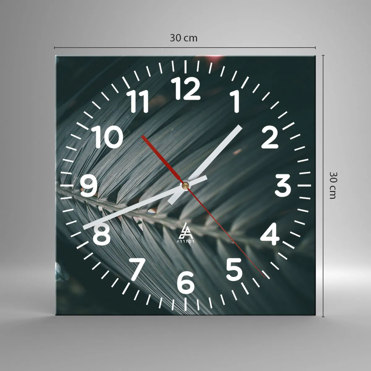 Ceas de perete - Ceas pe sticlă - Precizia naturii - 30x30 cm