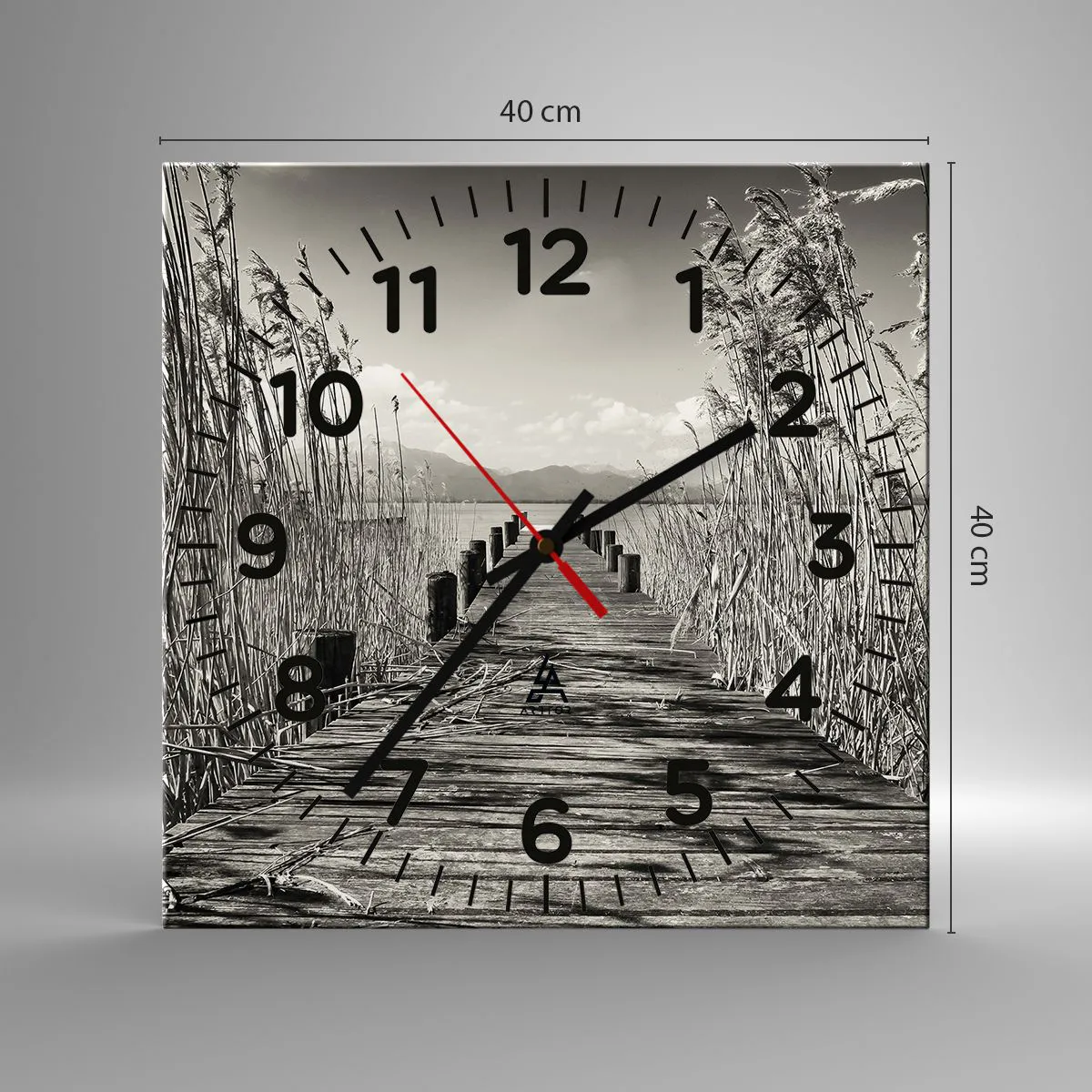 Ceas de perete - Ceas pe sticlă - În intimitatea ierburilor - 40x40 cm